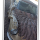 Illustration for article titled Here It Is, The Most Terrifying Citroën On Craigslist